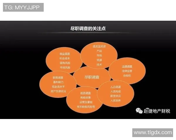 重磅专题：探秘杭州乒乓球队包夹战术的创新与发展之路